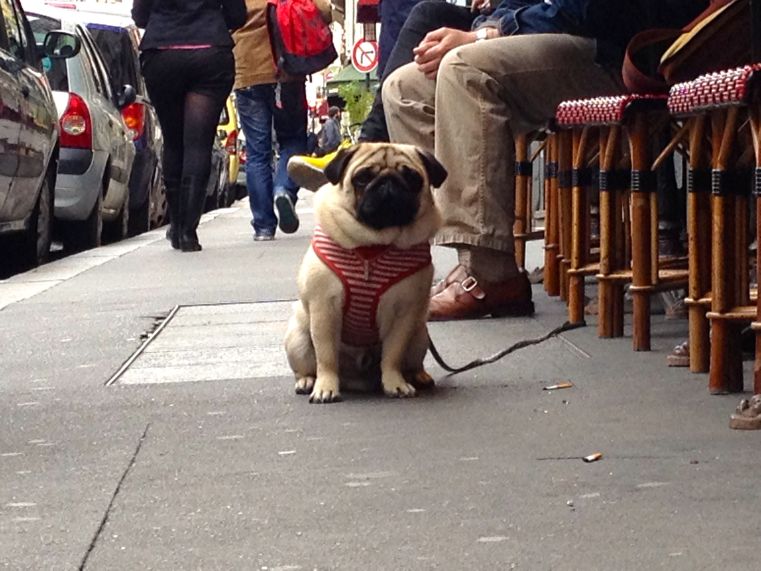 At The English Pub In Paris